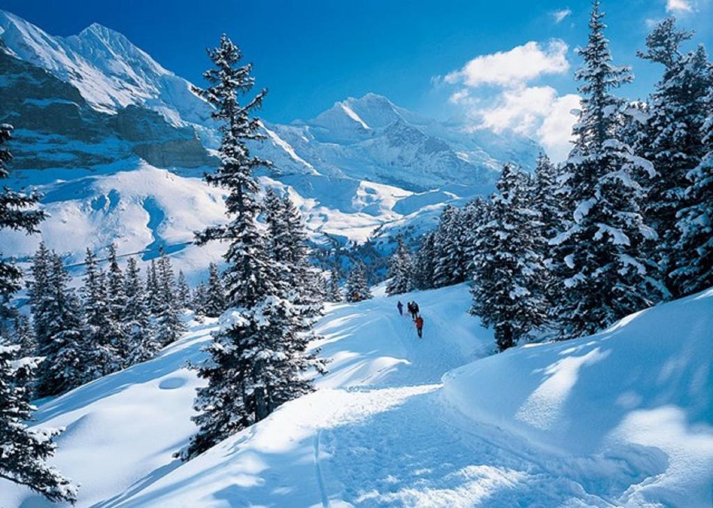Апартаменты Chalet Sonnenblick Бриенц Экстерьер фото